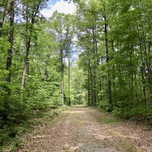 Photo of SOLD!  25 Acres of Hunting and Residential Land For Sale in Lunenburg County VA!