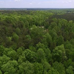 Photo of SOLD!  25 Acres of Hunting and Residential Land For Sale in Lunenburg County VA!