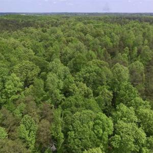 Photo of SOLD!  25 Acres of Hunting and Residential Land For Sale in Lunenburg County VA!