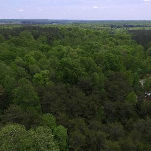 Photo of SOLD!  25 Acres of Hunting and Residential Land For Sale in Lunenburg County VA!