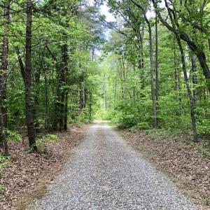 Photo of SOLD!  25 Acres of Hunting and Residential Land For Sale in Lunenburg County VA!