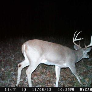 Photo of SOLD!  25 Acres of Hunting and Residential Land For Sale in Lunenburg County VA!