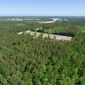 Photo of SOLD!!  20.4 Acres of Hunting and Timber Land For Sale in Jones County NC!