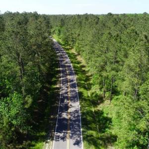 Photo of SOLD!!  20.4 Acres of Hunting and Timber Land For Sale in Jones County NC!