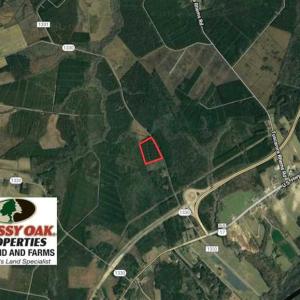 Photo of SOLD!!  20.4 Acres of Hunting and Timber Land For Sale in Jones County NC!