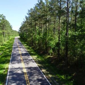 Photo of SOLD!!  20.4 Acres of Hunting and Timber Land For Sale in Jones County NC!