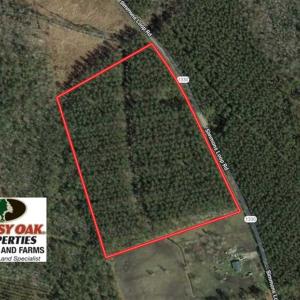 Photo of SOLD!!  20.4 Acres of Hunting and Timber Land For Sale in Jones County NC!