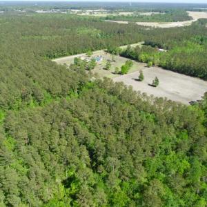 Photo of SOLD!!  20.4 Acres of Hunting and Timber Land For Sale in Jones County NC!