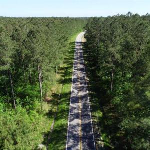 Photo of SOLD!!  20.4 Acres of Hunting and Timber Land For Sale in Jones County NC!