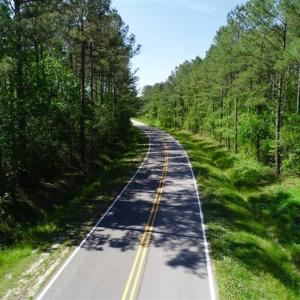Photo of SOLD!!  20.4 Acres of Hunting and Timber Land For Sale in Jones County NC!