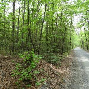 Photo of UNDER CONTRACT!  2 Acre Residential Lot For Sale in Spotsylvania County VA!