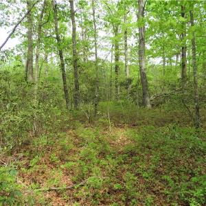 Photo of UNDER CONTRACT!  2 Acre Residential Lot For Sale in Spotsylvania County VA!