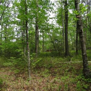 Photo of UNDER CONTRACT!  2 Acre Residential Lot For Sale in Spotsylvania County VA!