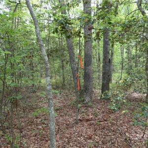 Photo of UNDER CONTRACT!  2 Acre Residential Lot For Sale in Spotsylvania County VA!