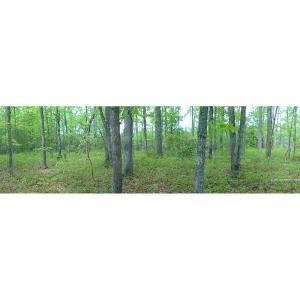 Photo of UNDER CONTRACT!  2 Acre Residential Lot For Sale in Spotsylvania County VA!