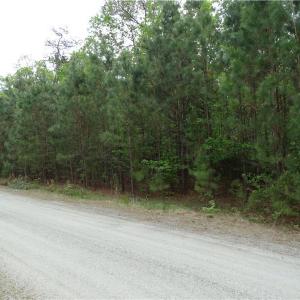 Photo of UNDER CONTRACT!  2 Acre Residential Lot For Sale in Spotsylvania County VA!