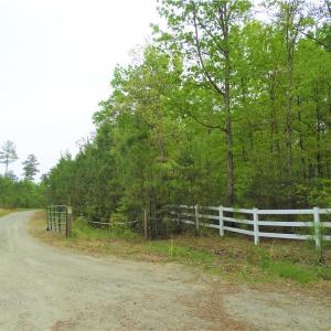Photo of UNDER CONTRACT!  2 Acre Residential Lot For Sale in Spotsylvania County VA!