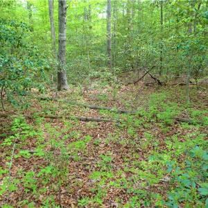 Photo of UNDER CONTRACT!  2 Acre Residential Lot For Sale in Spotsylvania County VA!