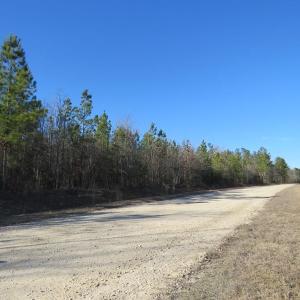 Photo of UNDER CONTRACT!  24 Acres of Timber Land For Sale in Cumberland County NC!