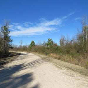 Photo of UNDER CONTRACT!  24 Acres of Timber Land For Sale in Cumberland County NC!