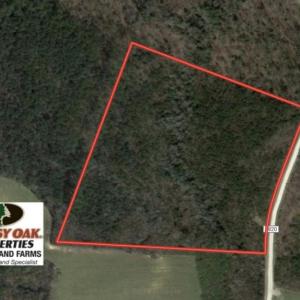 Photo of UNDER CONTRACT!  24 Acres of Timber Land For Sale in Cumberland County NC!