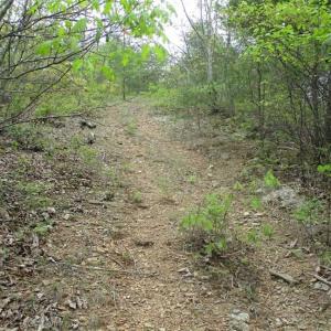 Photo of SOLD!!  42 Acres of Residential and Recreational Land for Sale in Alleghany County VA!