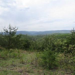 Photo of SOLD!!  42 Acres of Residential and Recreational Land for Sale in Alleghany County VA!