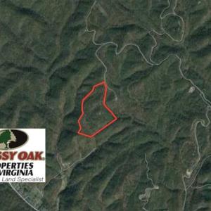 Photo of SOLD!!  42 Acres of Residential and Recreational Land for Sale in Alleghany County VA!