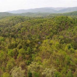 Photo of SOLD!!  42 Acres of Residential and Recreational Land for Sale in Alleghany County VA!