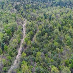 Photo of SOLD!!  42 Acres of Residential and Recreational Land for Sale in Alleghany County VA!