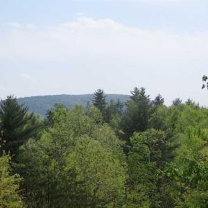 Photo of SOLD!!  42 Acres of Residential and Recreational Land for Sale in Alleghany County VA!