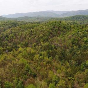 Photo of SOLD!!  42 Acres of Residential and Recreational Land for Sale in Alleghany County VA!