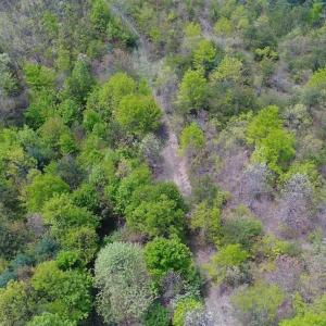 Photo of SOLD!!  42 Acres of Residential and Recreational Land for Sale in Alleghany County VA!