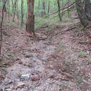 Photo of SOLD!!  42 Acres of Residential and Recreational Land for Sale in Alleghany County VA!