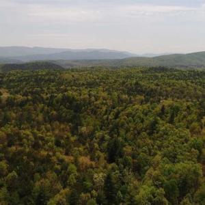 Photo of SOLD!!  42 Acres of Residential and Recreational Land for Sale in Alleghany County VA!