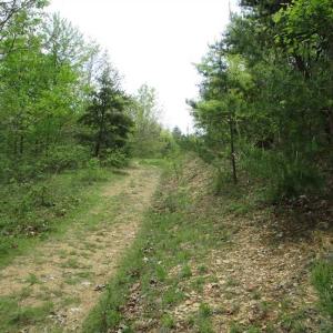 Photo of SOLD!!  42 Acres of Residential and Recreational Land for Sale in Alleghany County VA!