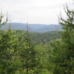 Photo of SOLD!!  42 Acres of Residential and Recreational Land for Sale in Alleghany County VA!