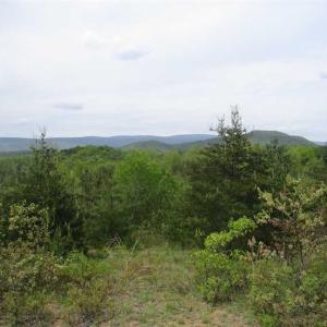 Photo of SOLD!!  42 Acres of Residential and Recreational Land for Sale in Alleghany County VA!