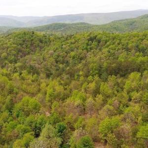 Photo of SOLD!!  42 Acres of Residential and Recreational Land for Sale in Alleghany County VA!