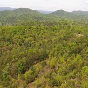 Photo of SOLD!!  42 Acres of Residential and Recreational Land for Sale in Alleghany County VA!