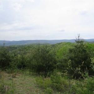Photo of SOLD!!  42 Acres of Residential and Recreational Land for Sale in Alleghany County VA!