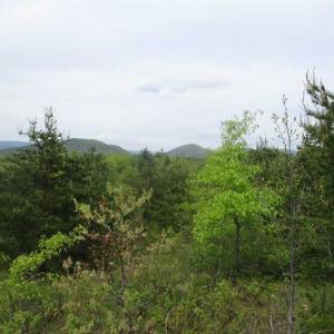 Photo of SOLD!!  42 Acres of Residential and Recreational Land for Sale in Alleghany County VA!