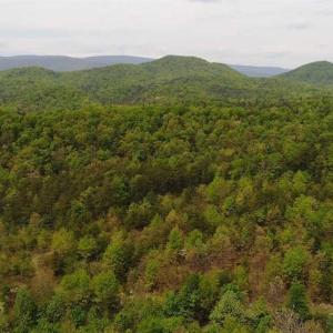 Photo of SOLD!!  42 Acres of Residential and Recreational Land for Sale in Alleghany County VA!