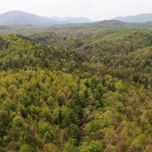 Photo of SOLD!!  42 Acres of Residential and Recreational Land for Sale in Alleghany County VA!