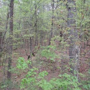 Photo of SOLD!!  42 Acres of Residential and Recreational Land for Sale in Alleghany County VA!