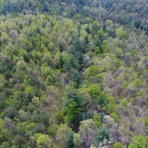Photo of SOLD!!  42 Acres of Residential and Recreational Land for Sale in Alleghany County VA!