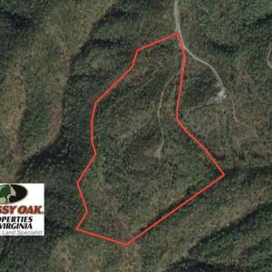 Photo of SOLD!!  42 Acres of Residential and Recreational Land for Sale in Alleghany County VA!