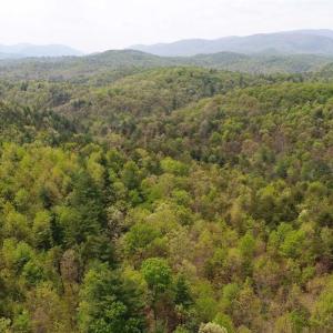 Photo of SOLD!!  42 Acres of Residential and Recreational Land for Sale in Alleghany County VA!