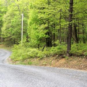 Photo of UNDER CONTRACT!  6.01 Acres of Residential Land For Sale in Frederick County VA!