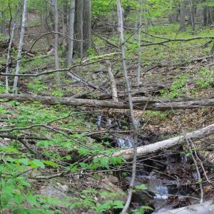 Photo of UNDER CONTRACT!  6.01 Acres of Residential Land For Sale in Frederick County VA!